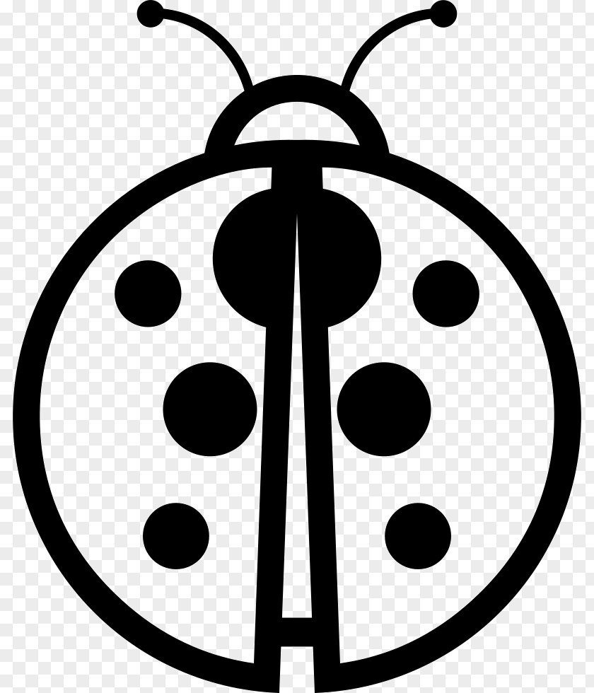 Vetor Joaninha Clip Art Ladybird Beetle Image PNG