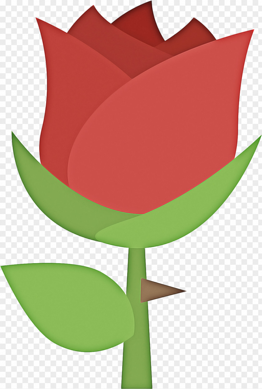 Anthurium Petal Lily Flower Cartoon PNG