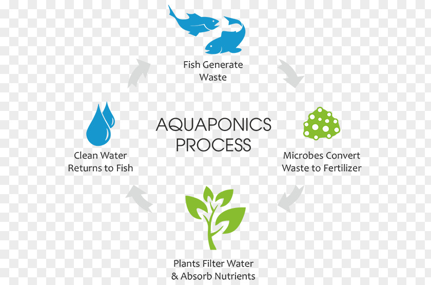 Aquaponics Agriculture Aquaculture Hydroponics Fish Farming PNG