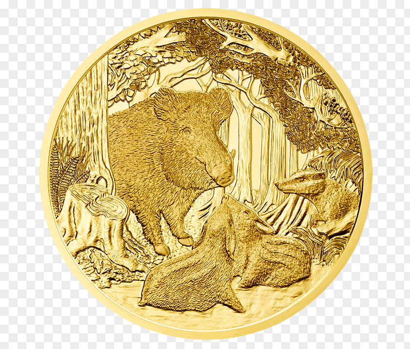 Boar Gold Coin Austrian Euro Coins Mint PNG