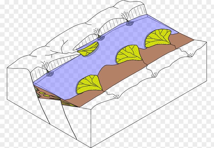 Pannonian Basin Newark Sedimentary Half-graben PNG