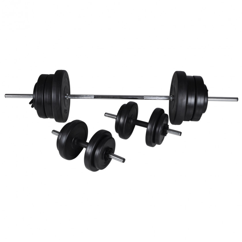 Dumbbell Barbell Weight Training Bench Fitness Centre PNG