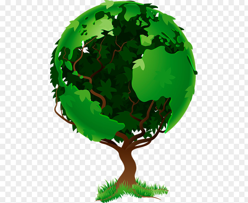 Globe World Tree Natural Environment PNG