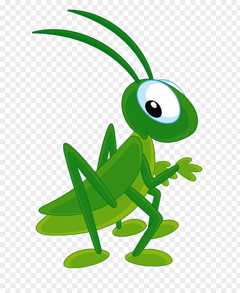 Grasshopper The Ant And Clip Art PNG