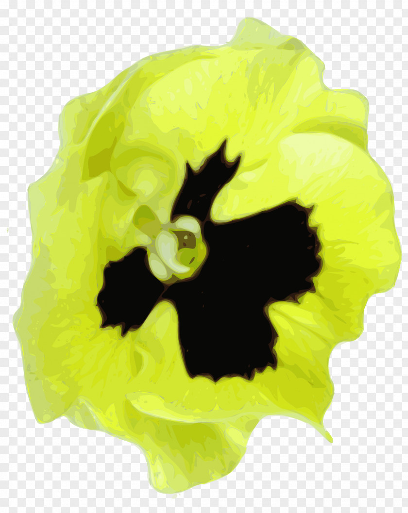Pansy Drawing Clip Art PNG