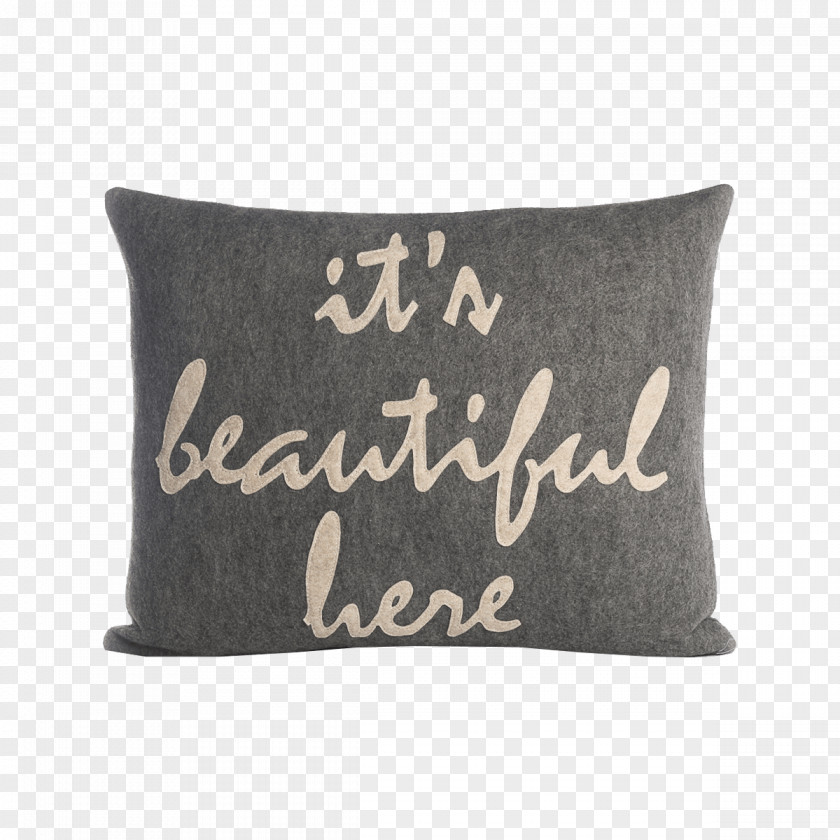 Pillow Throw Pillows Cushion Textile Lord Voldemort PNG