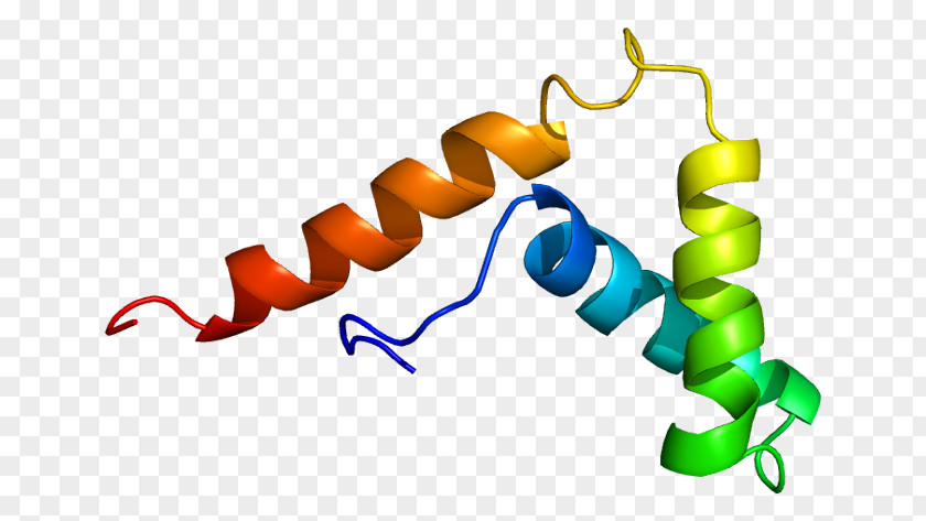 SOX5 SOX Gene Family Protein Testis-determining Factor Transcription PNG