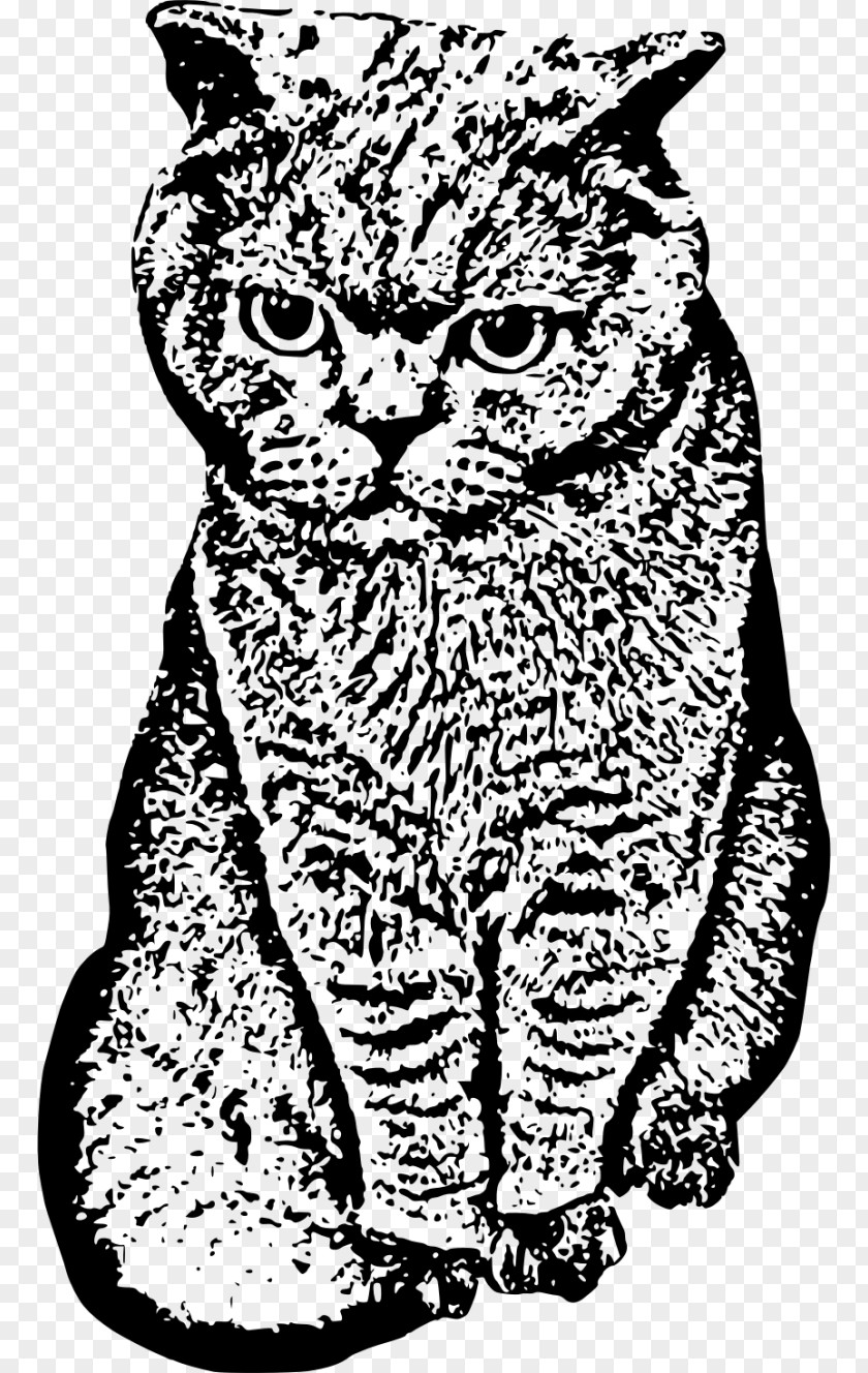 Tiger Whiskers Wildcat Domestic Short-haired Cat PNG