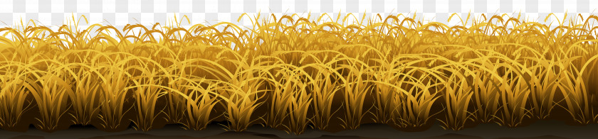 Wheat Grasses Clip Art PNG