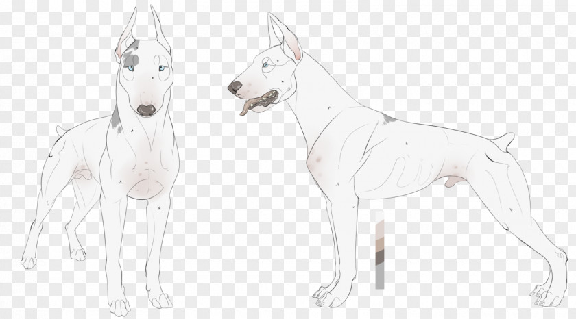 Crane Build Sheet Template Dog Breed Sketch Non-sporting Group Line Art PNG