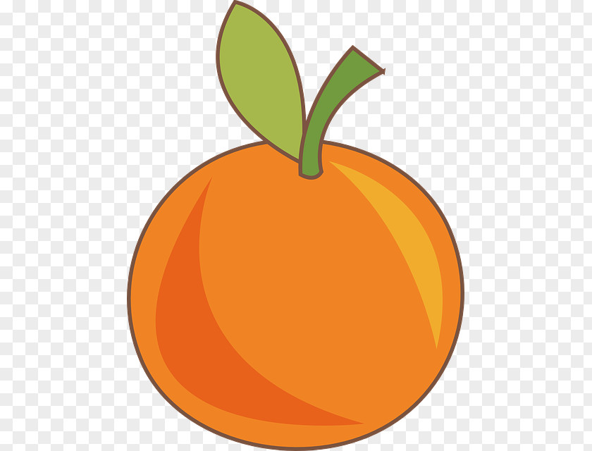 Frutas Orange Juice Drawing PNG