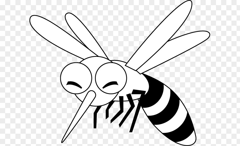 Mosquito Insect Fly Drawing PNG