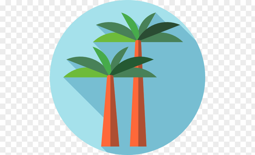 Palm Tree Icon PNG