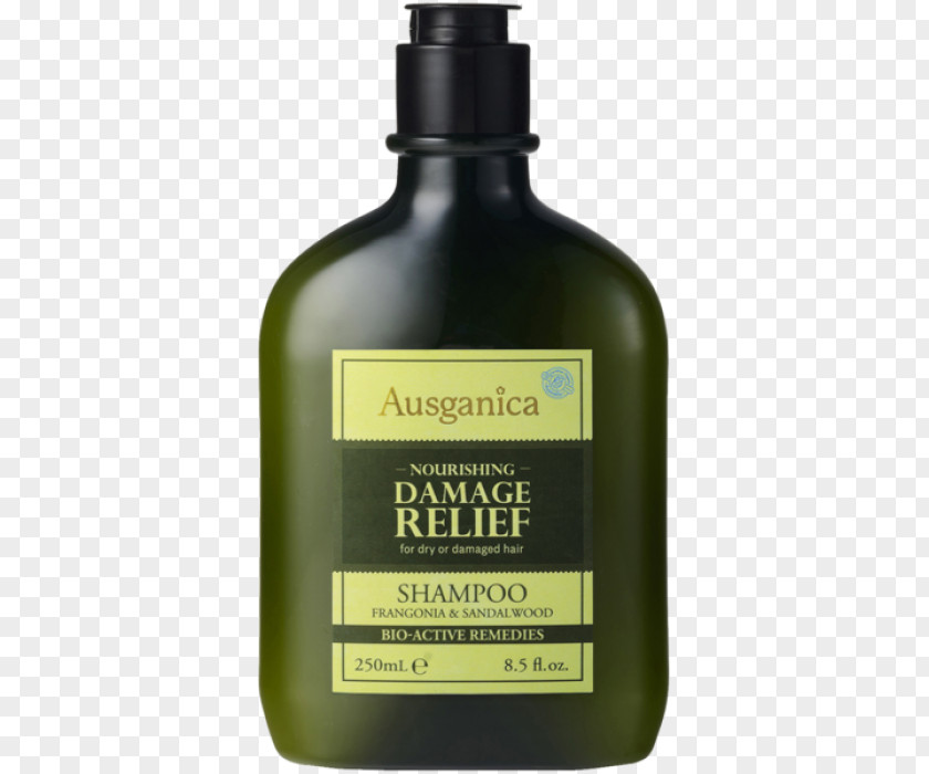 Shampoo Lotion Hair Conditioner Care PNG