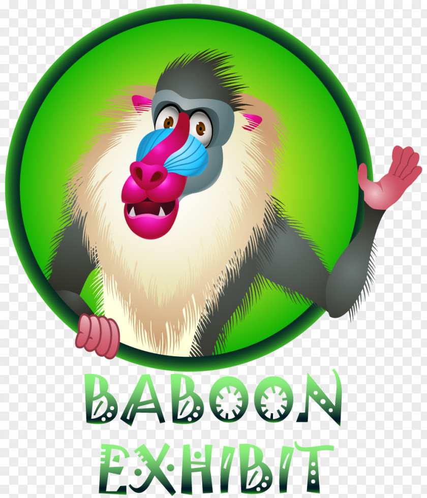 Baboon Baboons Mandrill Photography PNG