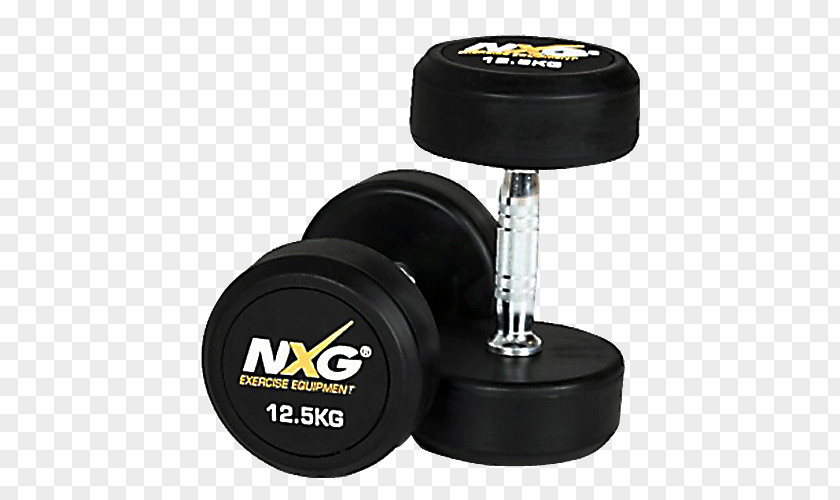 Dumbbell Sporting Goods Bench Pro-style Offense Exercise Equipment PNG