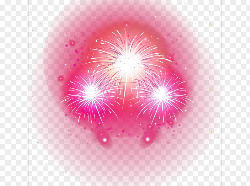 Fireworks Petal Circle Sky Wallpaper PNG