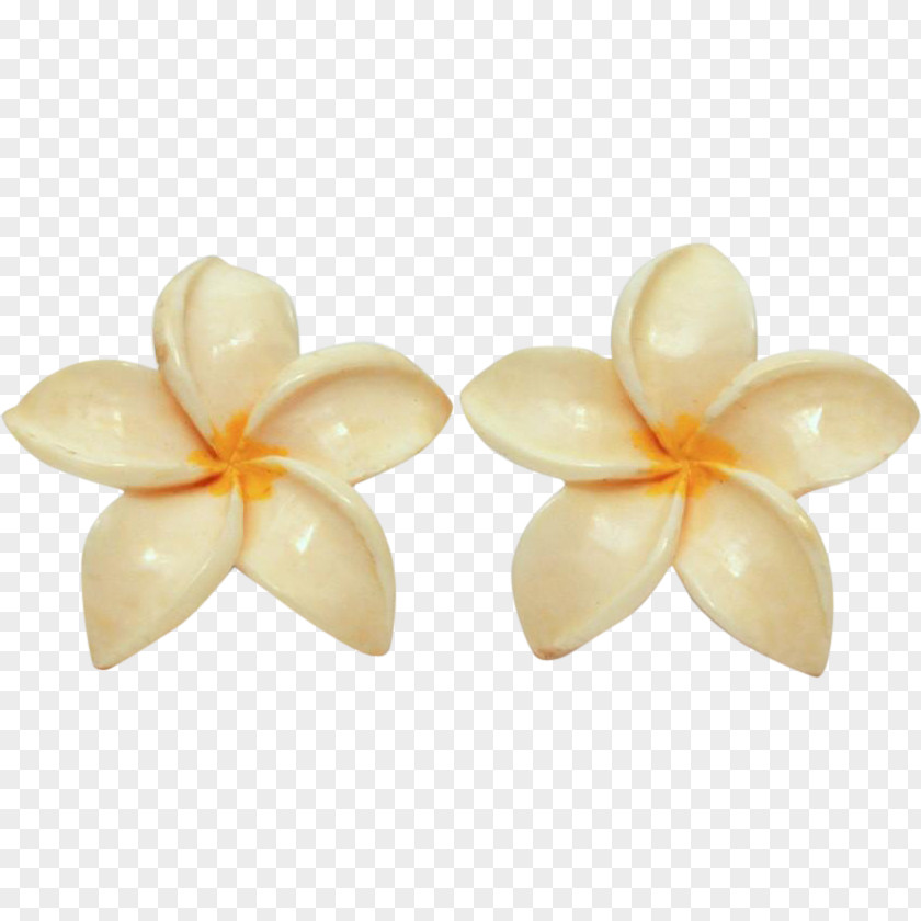 Frangipani Flower Petal Plumeria Hawaiian Jewelry Earring PNG