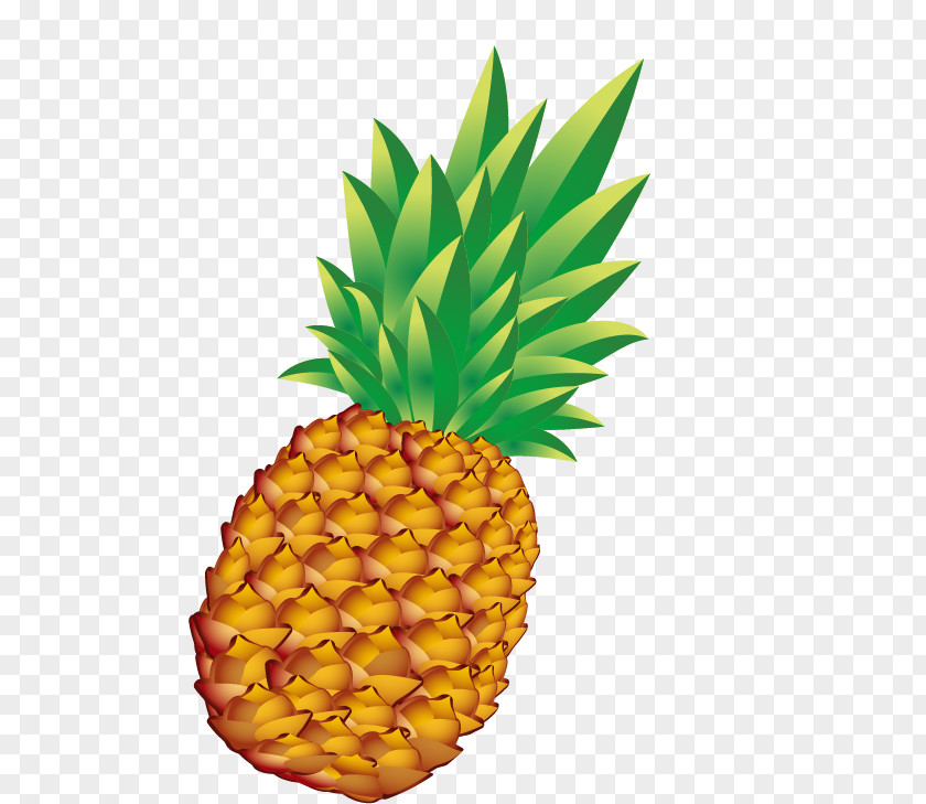 Pineapple Free Stock Buckle Bun Euclidean Vector PNG