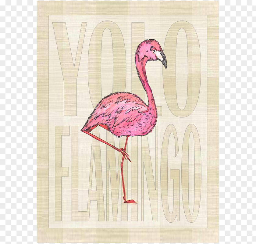 Tropical Flamingo Fauna Pink M Beak PNG