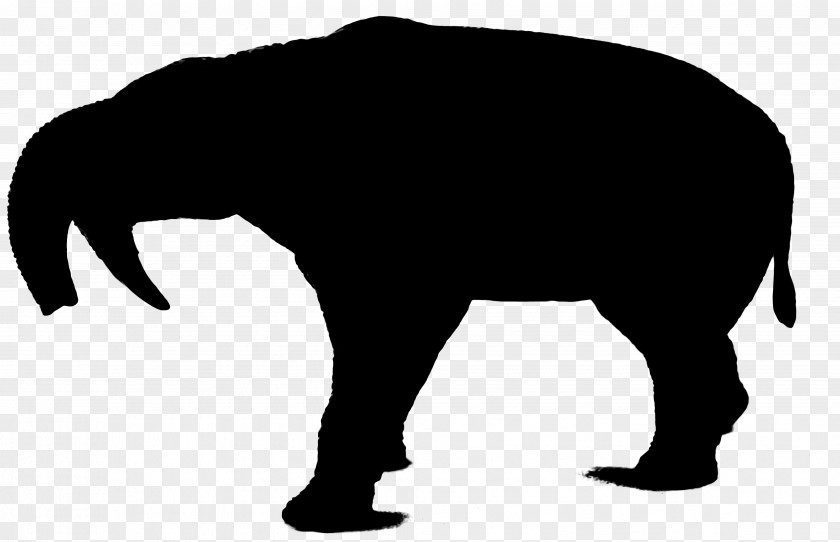 Wolf Silhouette Indian Elephant Bear Art PNG