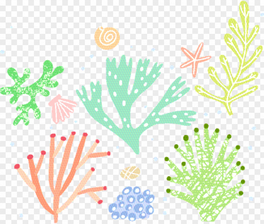Art Plant Coral Reef Background PNG