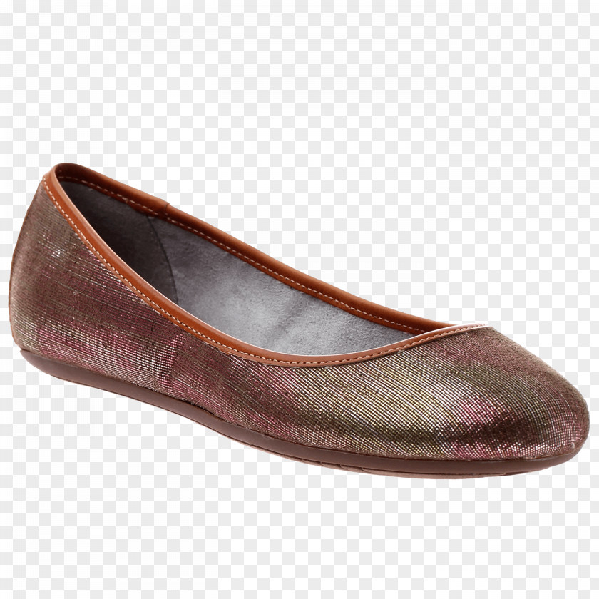 Ballet Flat Shoe PNG