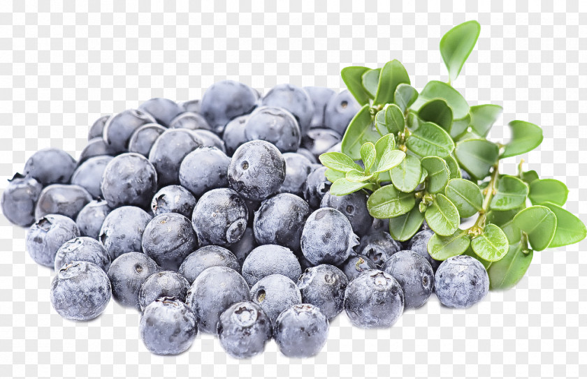 Bilberry Fruit Blueberry Berry Superfood PNG