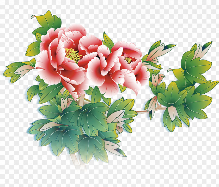 Blossoming Peony Poster PNG