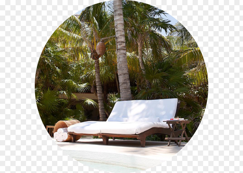 Hotel Viceroy Riviera Maya Beach Villa Luxury Resort PNG