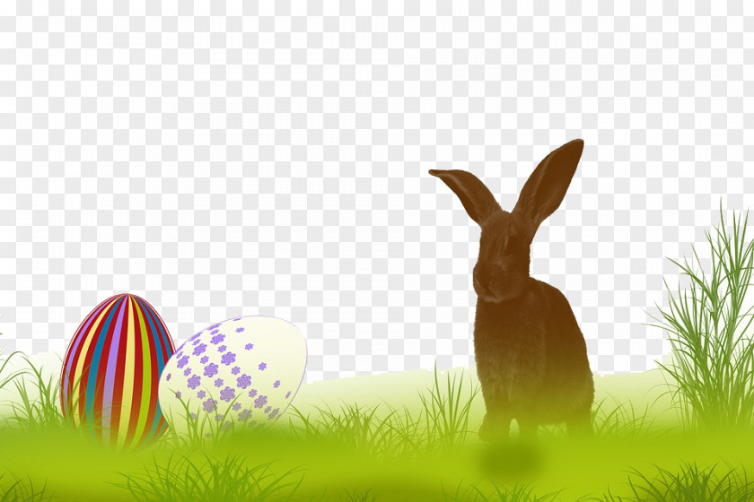 Rabbit On The Grass Easter Bunny Hare Wallpaper PNG