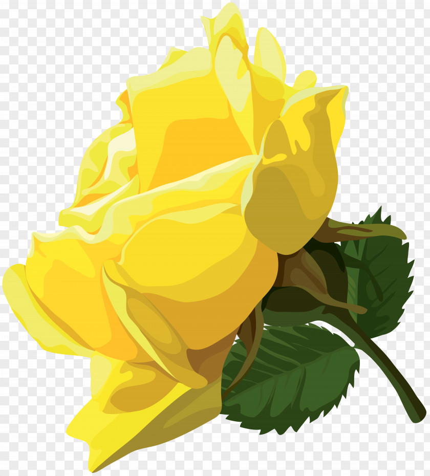 Rose Garden Roses Clip Art PNG