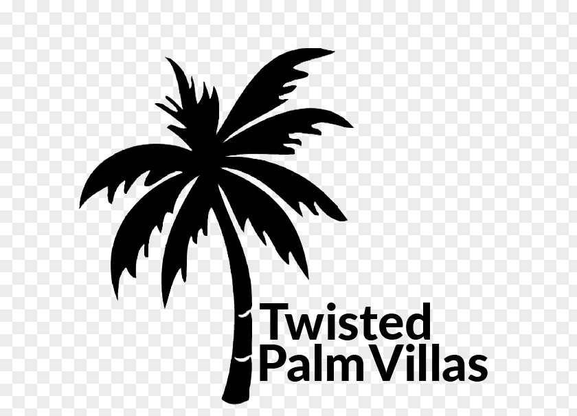 Sea Arecaceae Twisted Palm Villas Beach PNG
