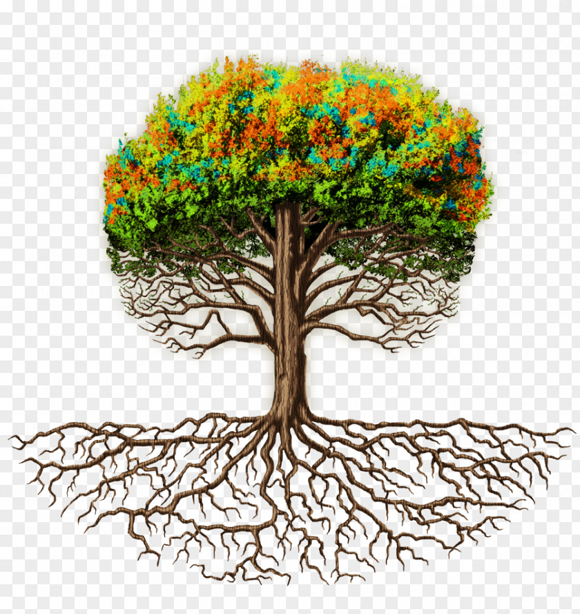 Tree Branch Root Trunk Flowerpot PNG