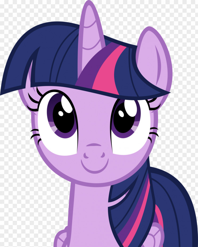 Twilight Sparkle Rarity Rainbow Dash Pinkie Pie Pony PNG