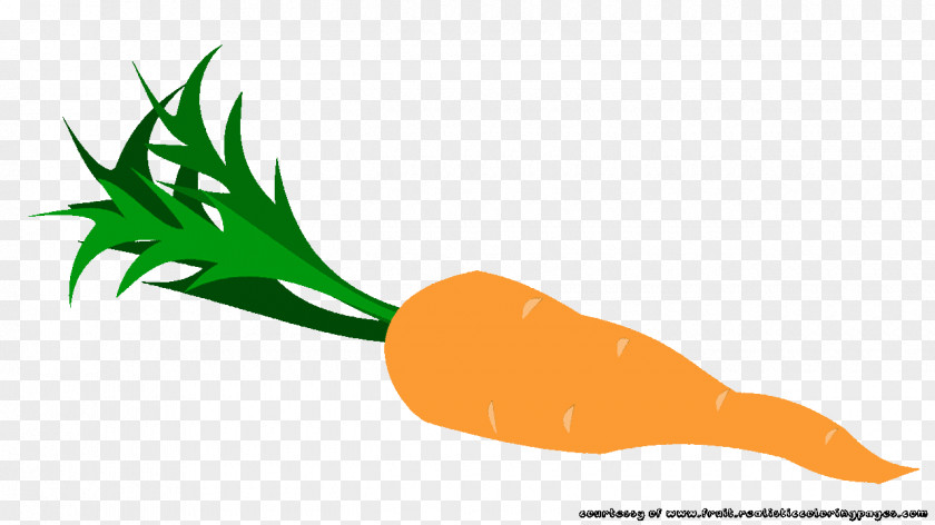 Carrot Vegetable Fruit Royalty-free Clip Art PNG