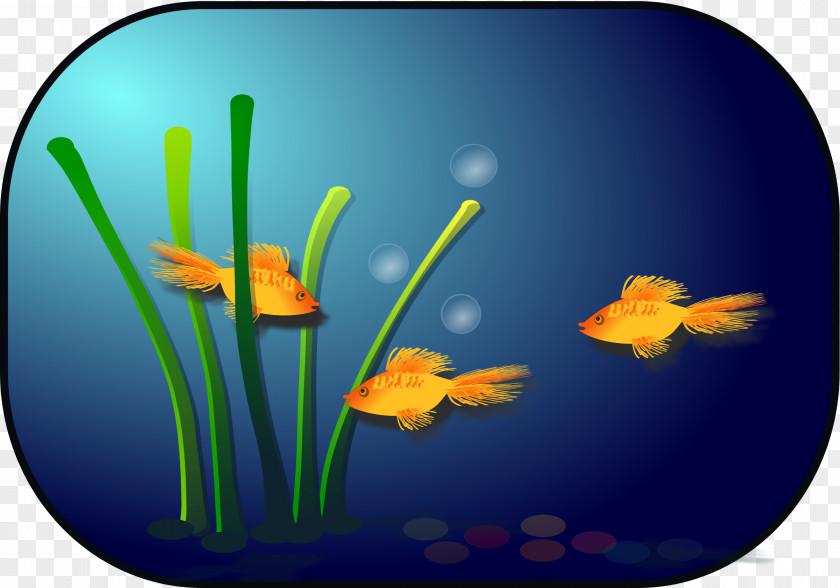 Fish Tank Goldfish Clip Art PNG