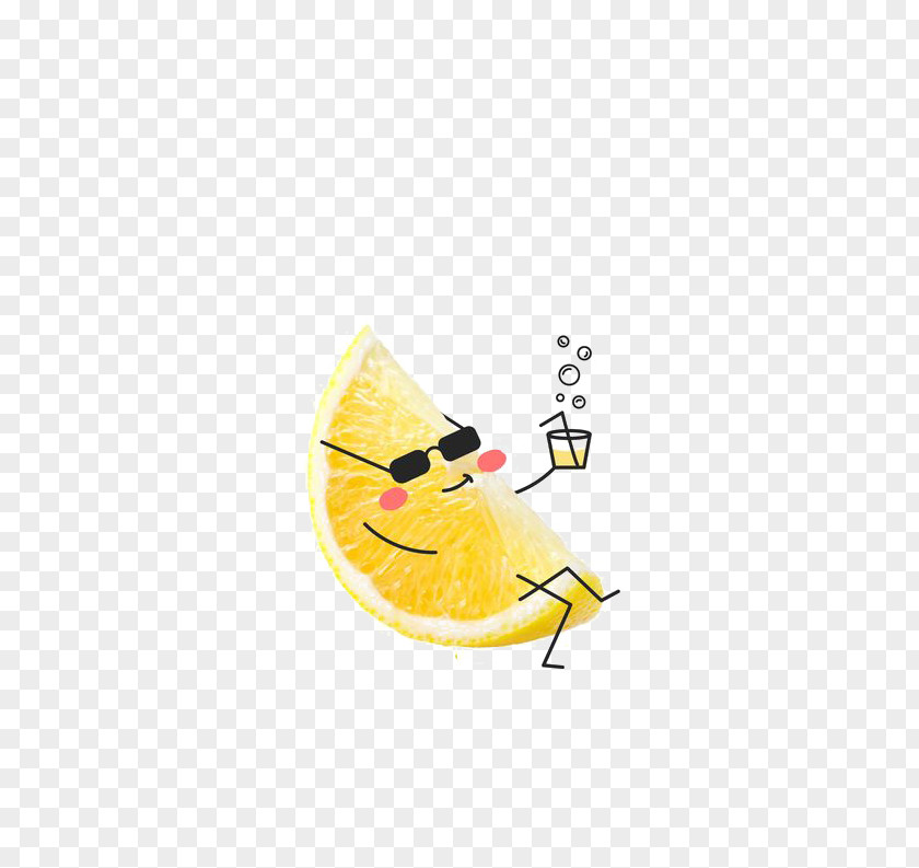 Lemon Slices Orange Juice Auglis Illustration PNG