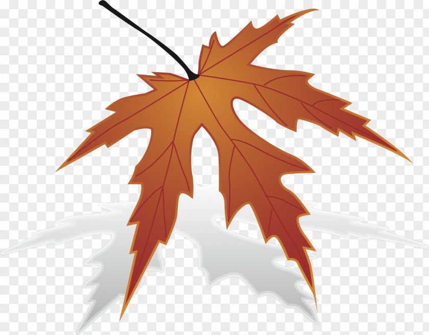 Maple Leaf Japanese Clip Art PNG