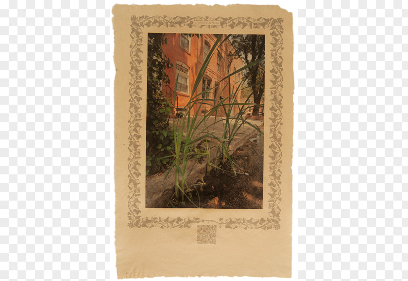 Mulberry Watercolor Picture Frames PNG