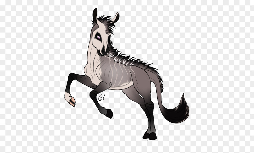 Mustang Mule Stallion Colt Halter PNG