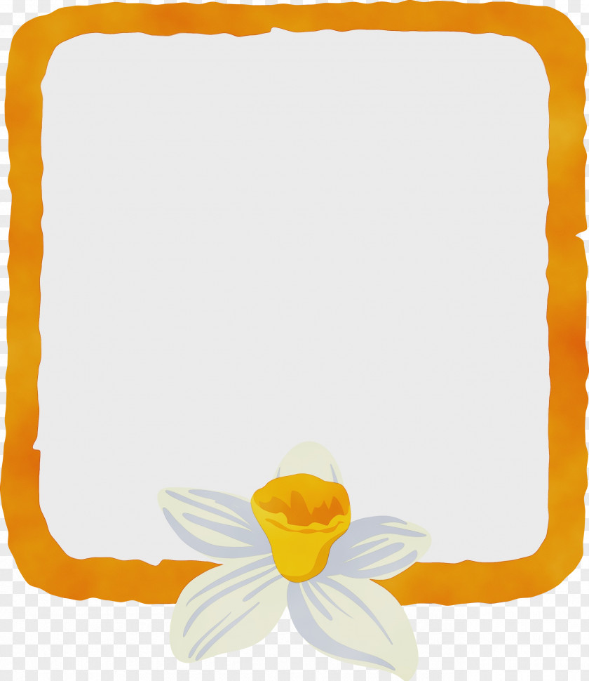 Picture Frame PNG