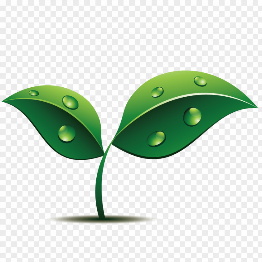 Vector Grass Plant Shoot Euclidean PNG