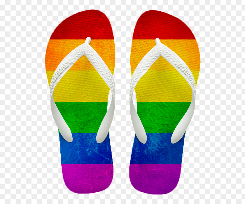 Adrenalin Illustration Flip-flops Gay Pride Rainbow Flag Shoe PNG
