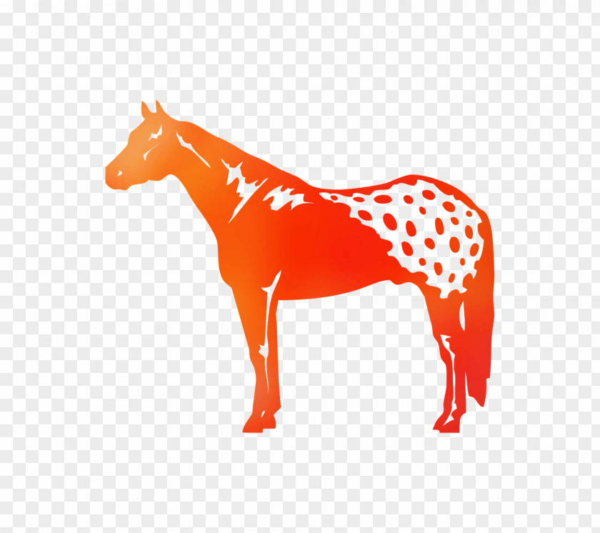 Appaloosa Decal Sticker American Paint Horse Car PNG