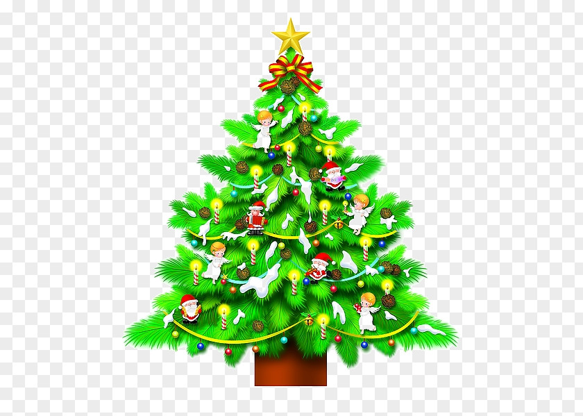 Christmas Tree Day Drawing Fir Vector Graphics PNG