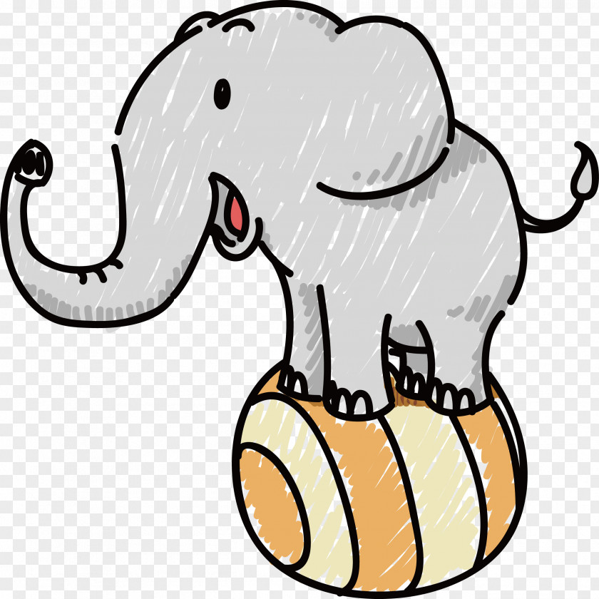 Circus Elephant Performance PNG