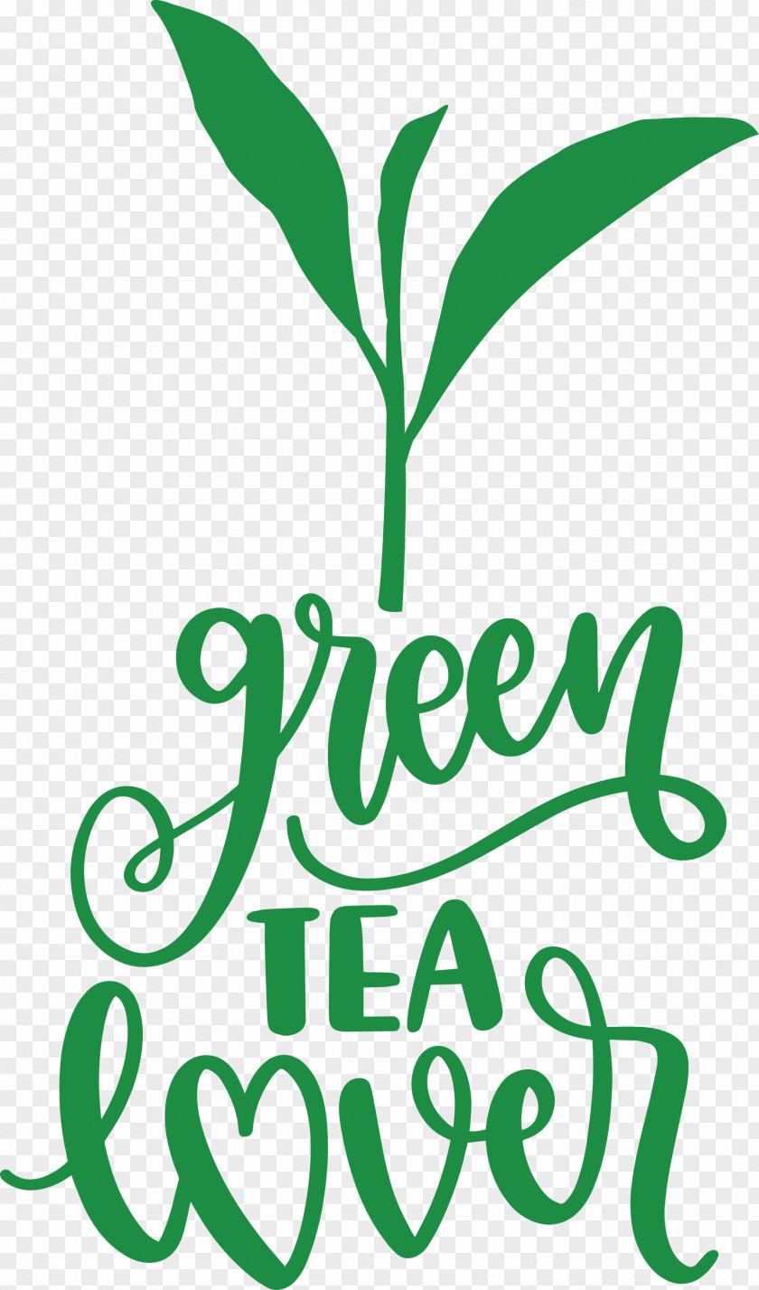 Green Tea Lover PNG