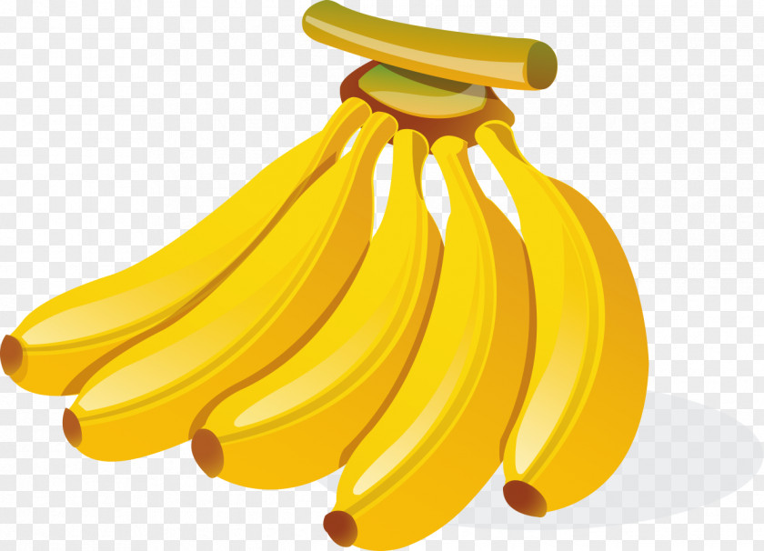 Hand-painted Golden Ripe Bunch Of Bananas Banana Cartoon Illustration PNG