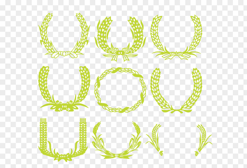 Hand-painted Vector Wheat Download Leaf PNG